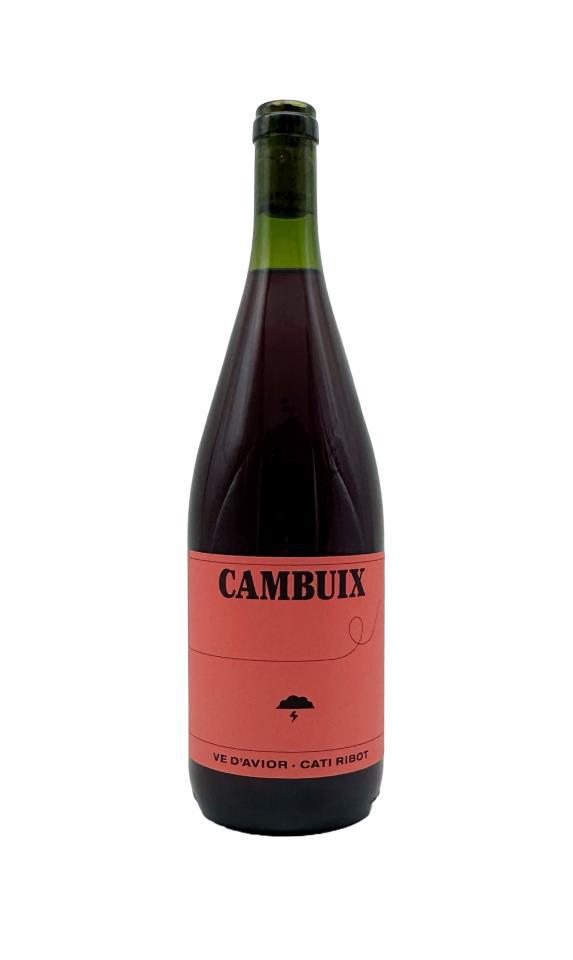 VE D'AVIOR CAMBUIX 2024